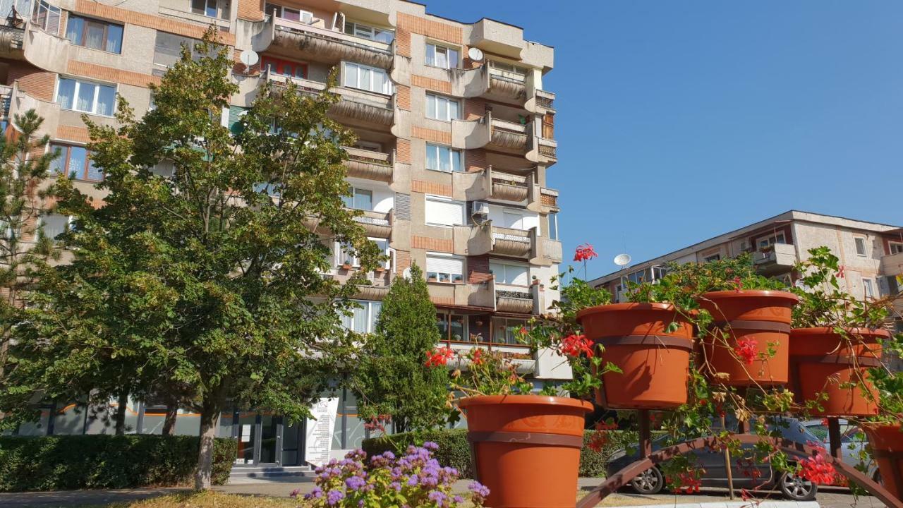 דירות דבה Apartament Sorina Maria מראה חיצוני תמונה